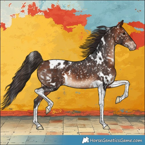 Horse Color:White Spotted Bay Tobiano Appaloosa 
