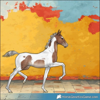 Horse Color:Silver Black Tobiano Rabicano 