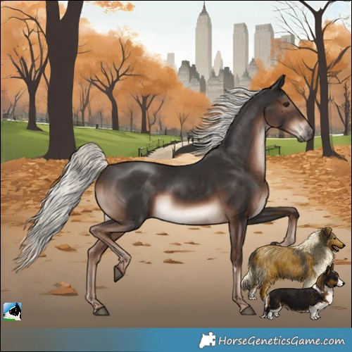 Horse Color:Liver Chestnut Mushroom Rabicano