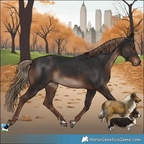 Horse Color:Liver Chestnut Rabicano 