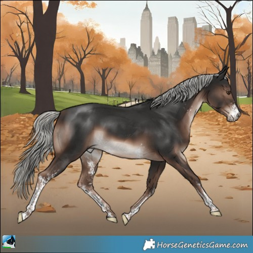 Horse Color:Liver Chestnut Mushroom Sabino Rabicano 