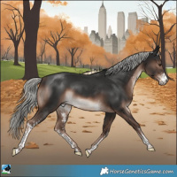 Horse Color:Liver Chestnut Mushroom Sabino Rabicano 