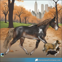 Horse Color:Liver Chestnut Sabino Rabicano