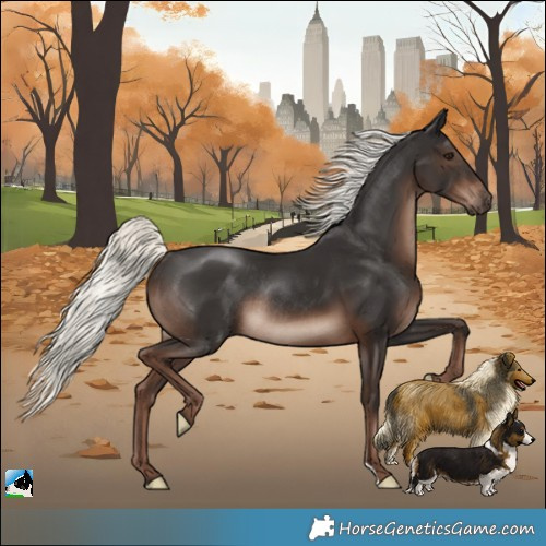 Horse Color:Liver Chestnut Mushroom Rabicano 