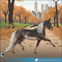 Horse Color:Liver Chestnut Mushroom Rabicano 