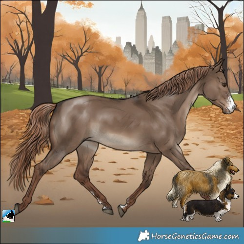 Horse Color:Liver Red Dun Sabino Rabicano