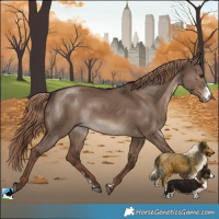 Horse Color:Liver Red Dun Sabino Rabicano