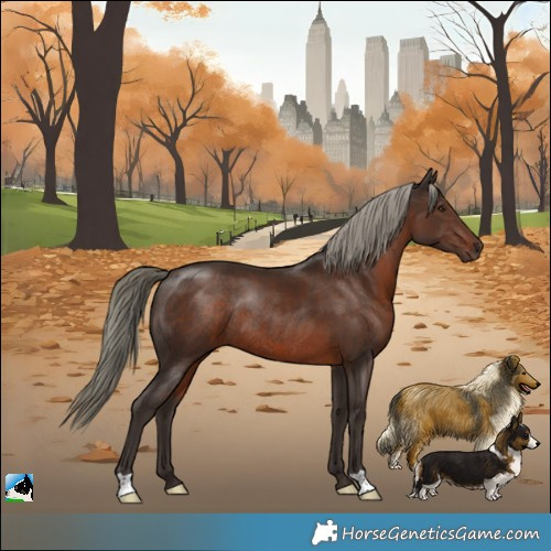 Horse Color:Liver Chestnut Mushroom Rabicano