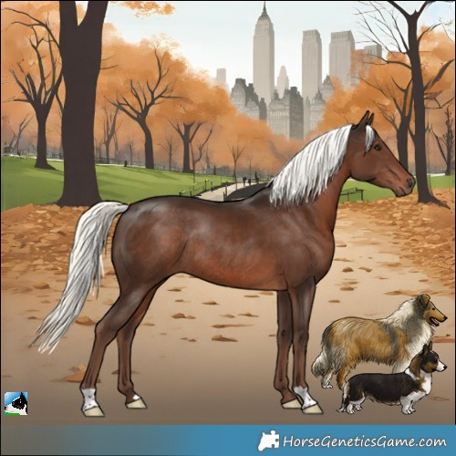 Horse Color:Liver Chestnut Mushroom Rabicano 