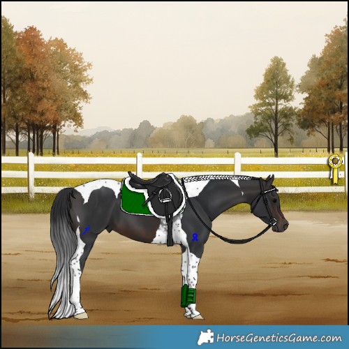 Horse Color:Brown Tobiano 