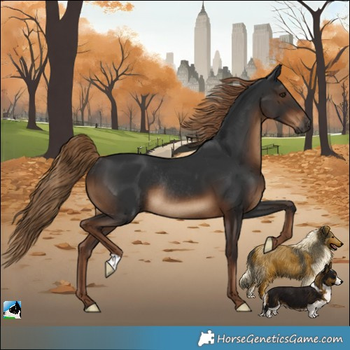 Horse Color:Gray Liver Chestnut Rabicano 