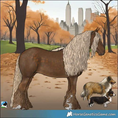 Horse Color:Chocolate Palomino Rabicano