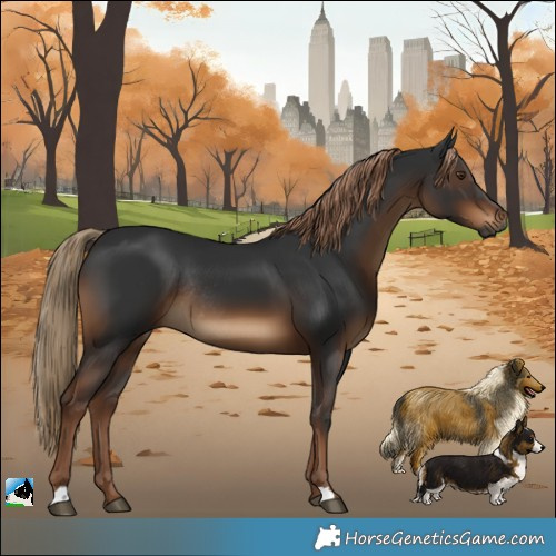 Horse Color:Gray Liver Chestnut Rabicano