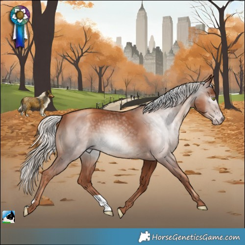 Horse Color:Gray Gold Champagne Mushroom 