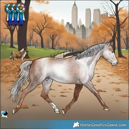 Horse Color:Gray Gold Champagne Mushroom 