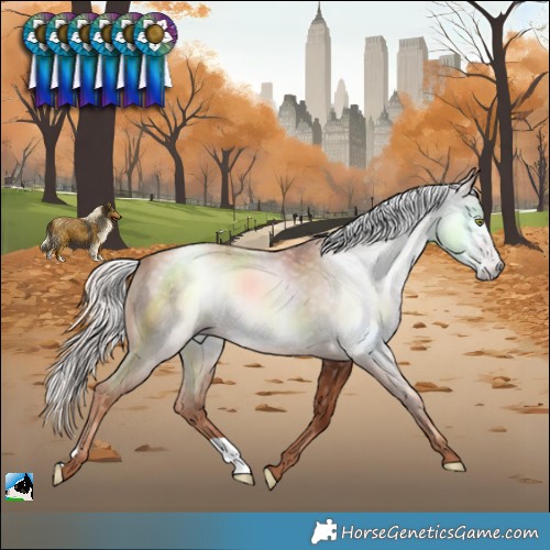 Horse Color:Gray Gold Champagne Mushroom 