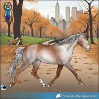 Horse Color:Gray Gold Champagne Mushroom