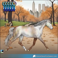 Horse Color:Gray Gold Champagne Mushroom