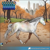 Horse Color:Gray Gold Champagne Mushroom