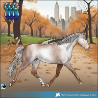 Horse Color:Gray Gold Champagne Mushroom