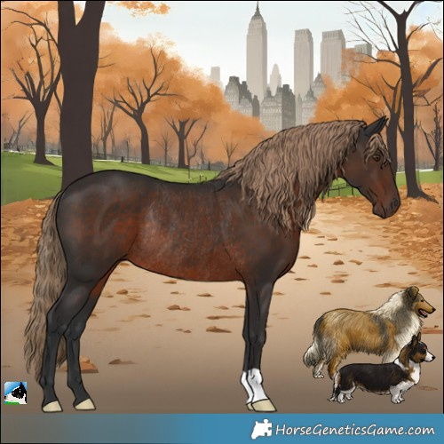 Horse Color:Liver Chestnut Rabicano