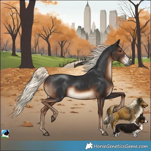 Horse Color:Gray Liver Chestnut Mushroom Sabino Rabicano