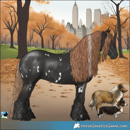 Horse Color:White Spotted Liver Chestnut 