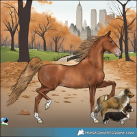 Horse Color:Gray Gold Champagne Rabicano