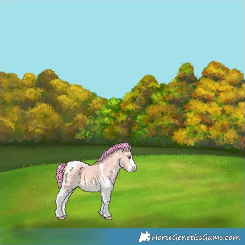 Horse Color:Watercolor White Spotted Bay Chinchilla Dun Tobiano 