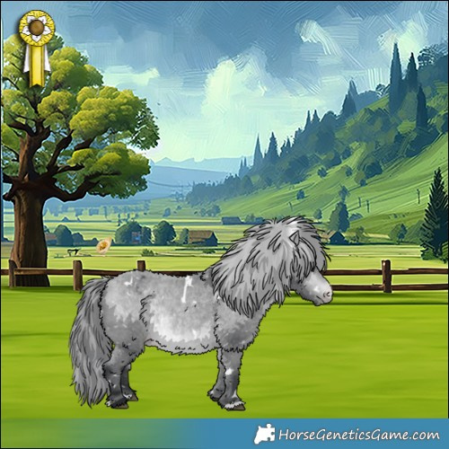 Horse Color:White Spotted Bay Chinchilla Appaloosa 