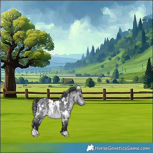 Horse Color:White Spotted Bay Chinchilla 