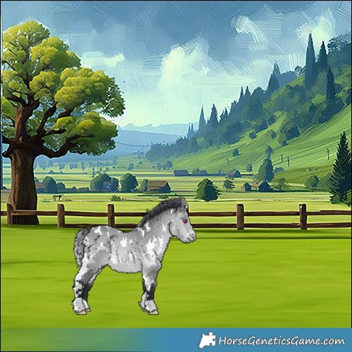 Horse Color:White Spotted Bay Chinchilla 