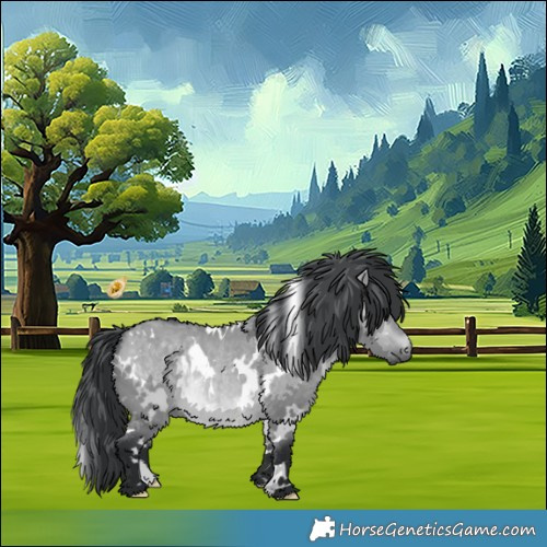 Horse Color:White Spotted Brown Chinchilla Dun 