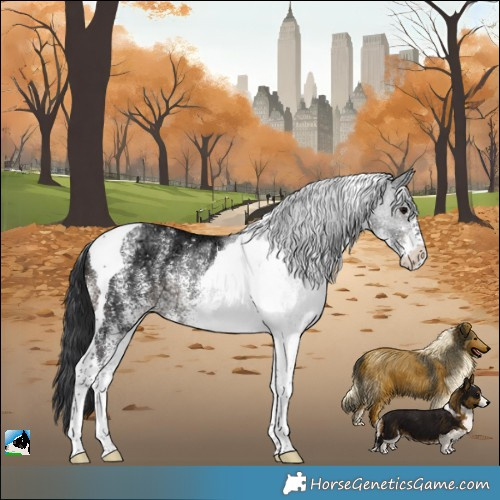 Horse Color:White Spotted Brown Ice Tobiano Rabicano 