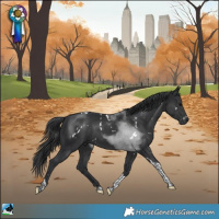 Horse Color:White Spotted Black Tobiano Rabicano