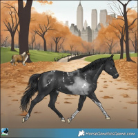 Horse Color:White Spotted Black Tobiano Rabicano 