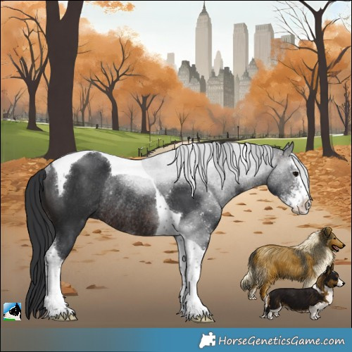 Horse Color:Brown Sabino Tobiano Rabicano 