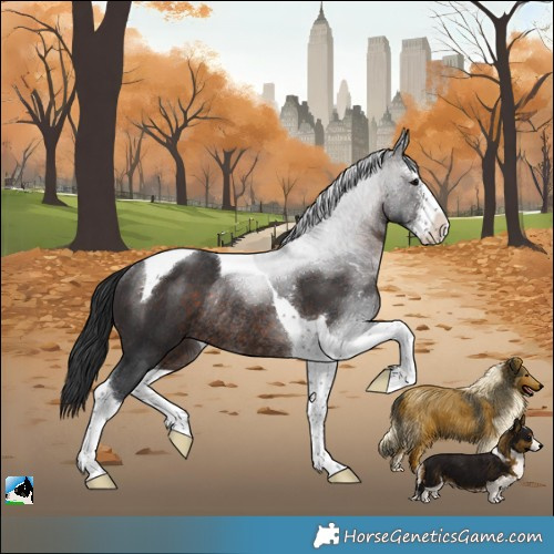 Horse Color:Brown Sabino Tobiano Rabicano
