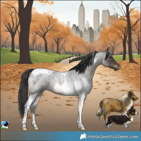 Horse Color:Brown Roan Tobiano Rabicano
