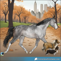 Horse Color:White Spotted Brown Roan Rabicano