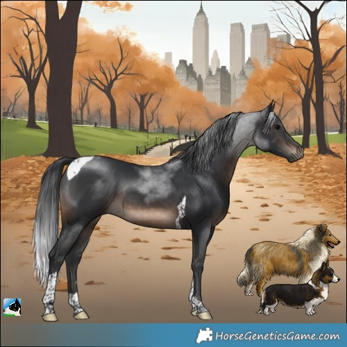 Horse Color:Brown Tobiano Rabicano 