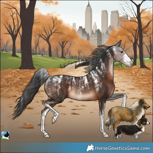 Horse Color:Powder White White Spotted Liver Chestnut Rabicano 