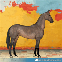 Horse Color:Brown Dun 
