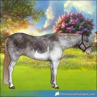 Horse Color:White Spotted Liver Chestnut Tobiano 