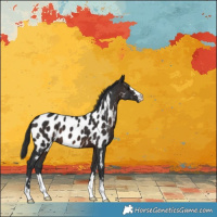 Horse Color:Brown Appaloosa