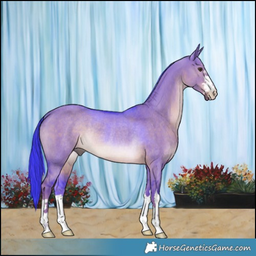 Horse Color:Watercolor Liver Red Dun Rabicano 