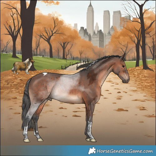 Horse Color:Brown Merle Tobiano