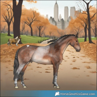 Horse Color:Brown Merle Tobiano