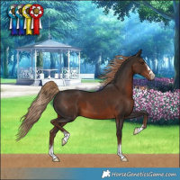 Horse Color:Liver Chestnut 