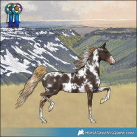 Horse Color:White Spotted Liver Chestnut 